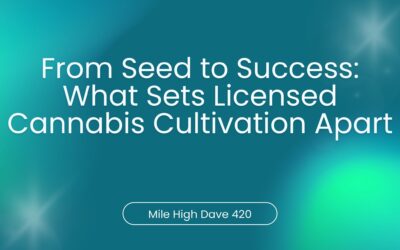 From Seed to Success: What Sets Licensed Cannabis Cultivation Apart