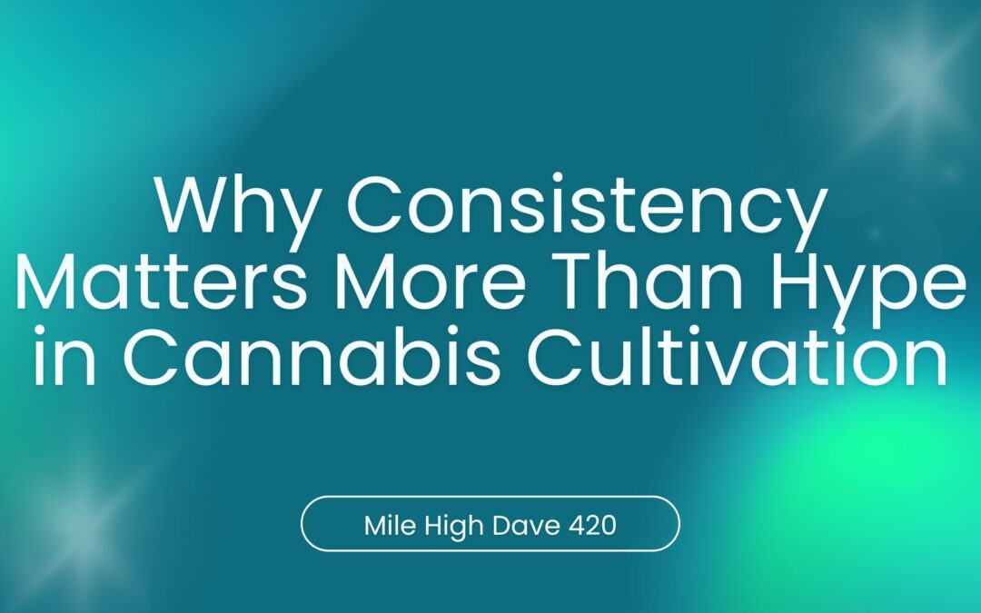 Why Consistency Matters More Than Hype in Cannabis Cultivation