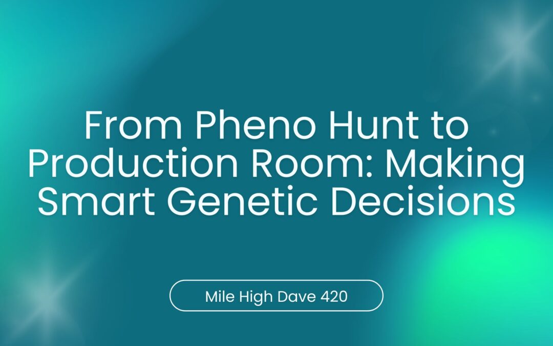 From Pheno Hunt to Production Room: Making Smart Genetic Decisions