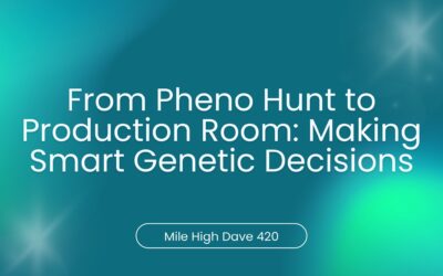 From Pheno Hunt to Production Room: Making Smart Genetic Decisions