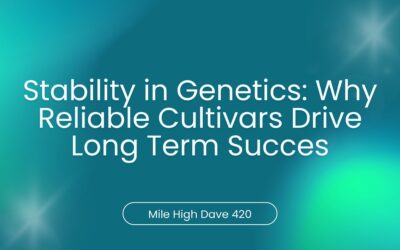 Stability in Genetics: Why Reliable Cultivars Drive Long Term Succes