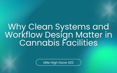 Why Clean Systems and Workflow Design Matter in Cannabis Facilities